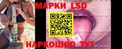 СК Волгодонск