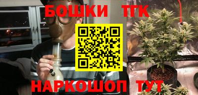 СК Волгодонск