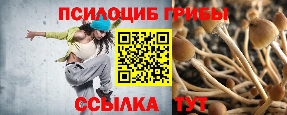 Дзержинский  Псилоцибиновые грибы MAGIC MUSHROOMS  Вход с VPN  Псилоцибиновые грибы мухоморы 